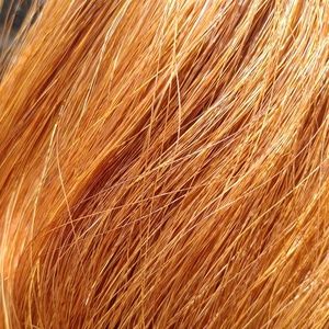 Fake horse tail